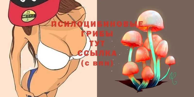 Галлюциногенные грибы Psilocybine cubensis  hydra ONION  Поворино 